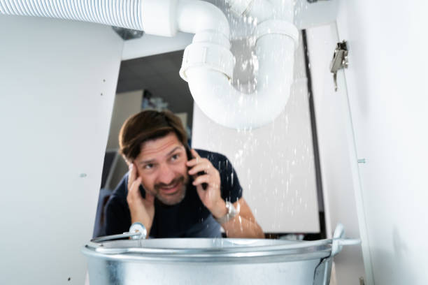 Best Plumbing Services Near Me  in Heathrow, FL